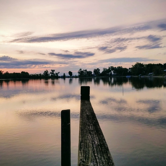 Meet your Posher, Shawn - Picture 2 of 2